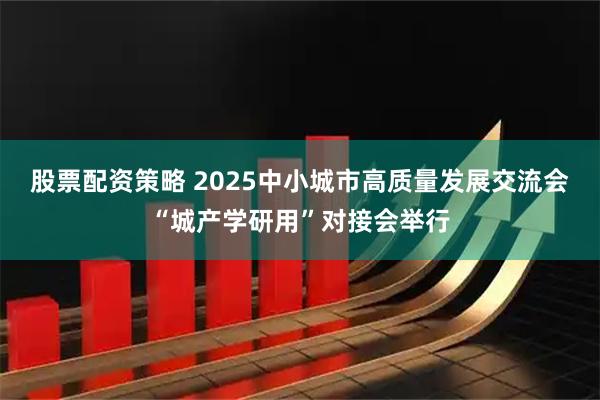 股票配资策略 2025中小城市高质量发展交流会“城产学研用”对接会举行